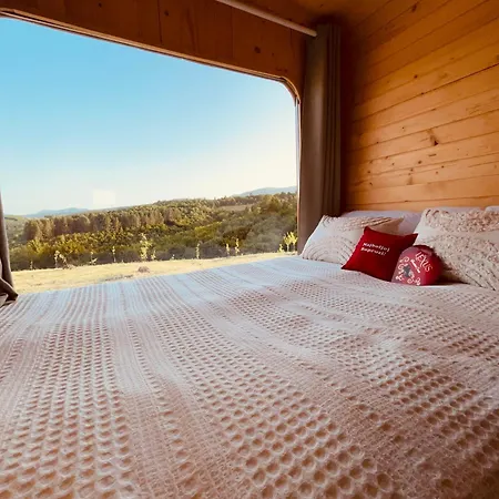 Petrovf Place * Daljan